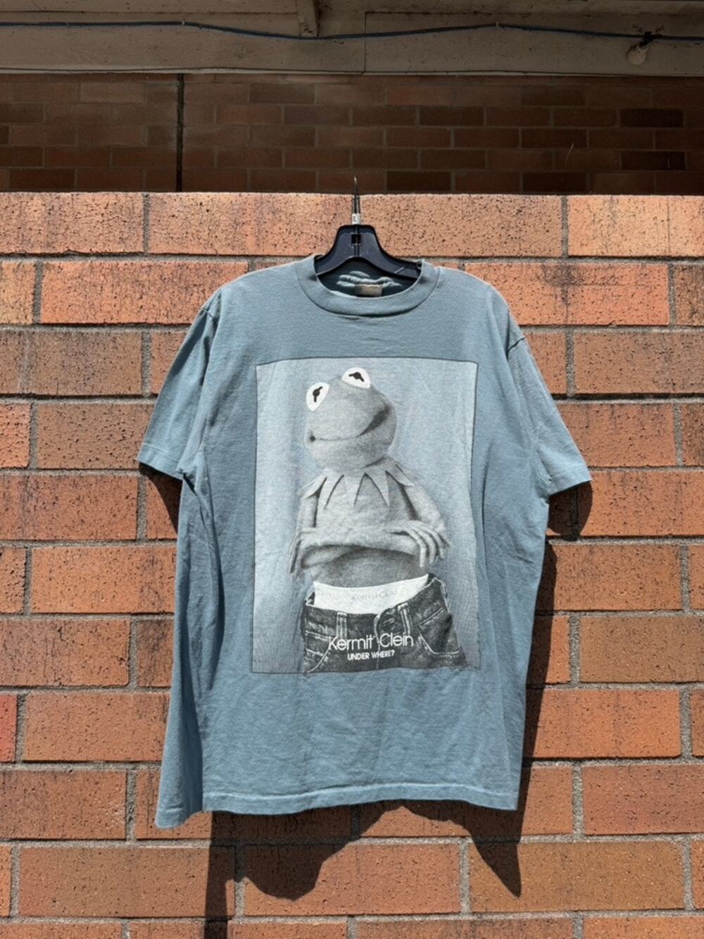 90s Kermit Calvin Klein Parody Vintage Changes Rap Tee Shirt Sesame Street Elmo